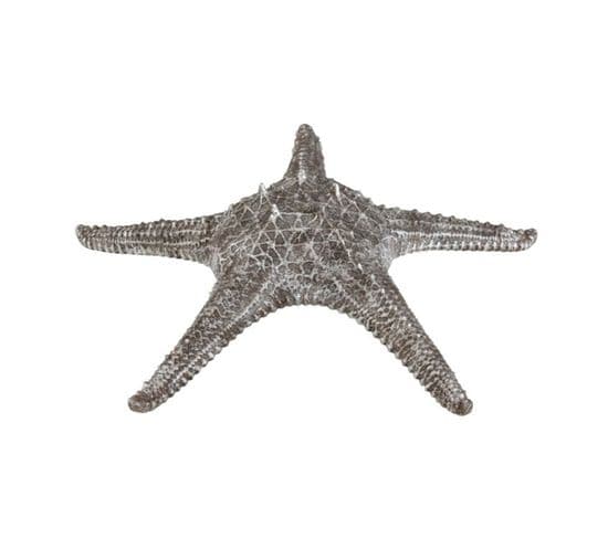 Statuette Déco "étoile De Mer" 37cm Gris