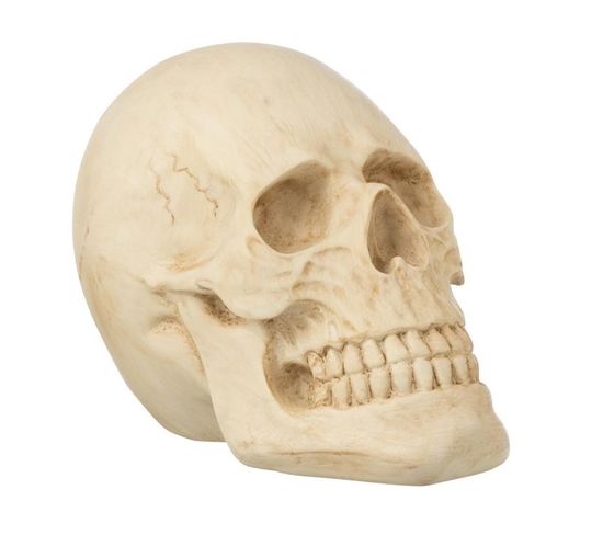Statuette Déco "crâne" 21cm Naturel