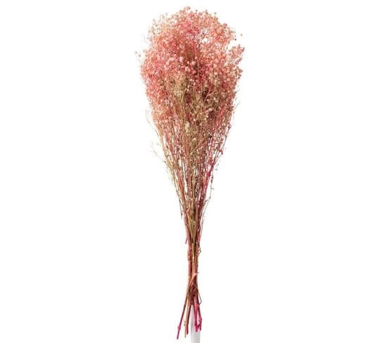 Bouquet De Fleurs "gypsophile Séché" 84cm Rose