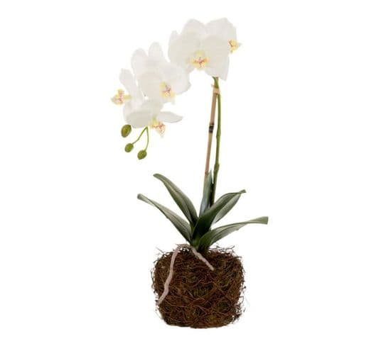 Fleur Artificielle Déco "orchidée En Terre" 40cm Blanc