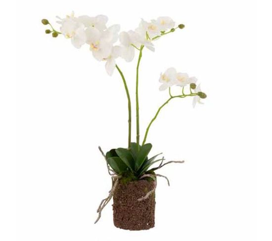 Fleur Artificielle Déco "orchidée En Terre" 54cm Blanc