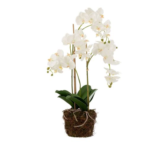 Fleur Artificielle Déco "orchidée En Terre" 72cm Blanc