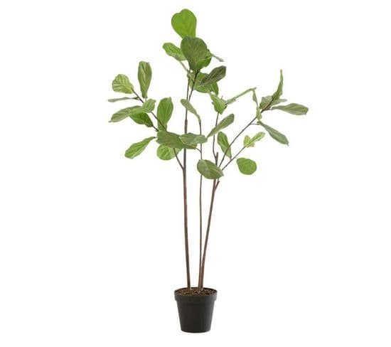 Plante Artificielle En Pot "figuier" 173cm Vert