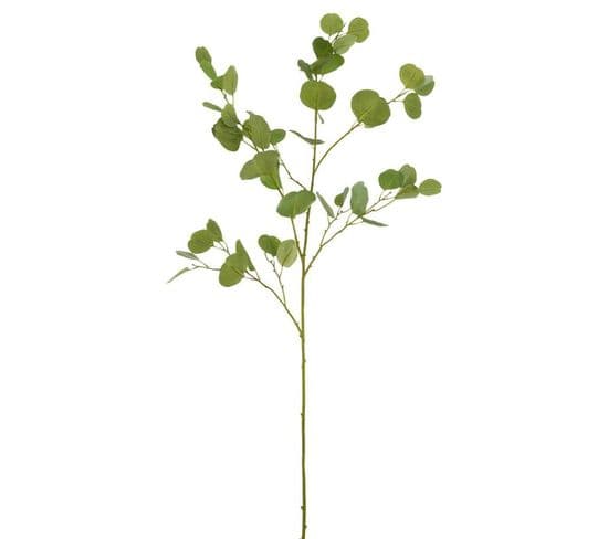 Fleur Artificielle "branche D'eucalyptus" 138cm Vert