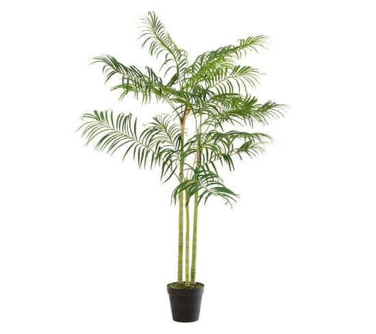 Plante Artificielle "palmier Bambou" 170cm Vert
