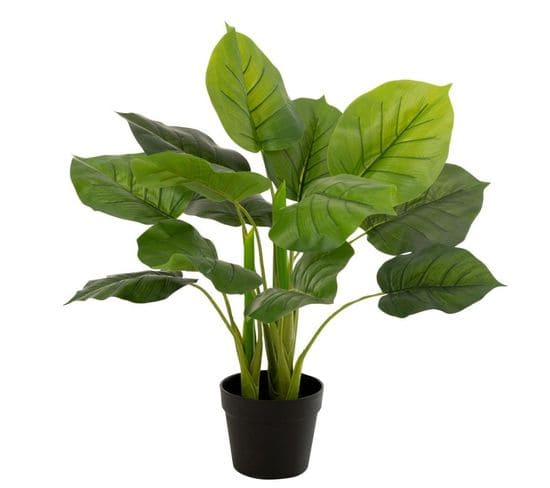 Plante Artificielle En Pot "pothos" 55cm Vert