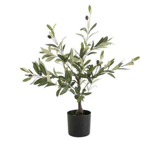 Plante Artificielle En Pot "olivier" 70cm Vert et Noir