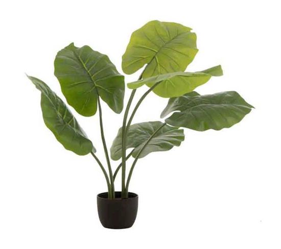 Plante Artificielle "taro Sauvage" 78cm Vert