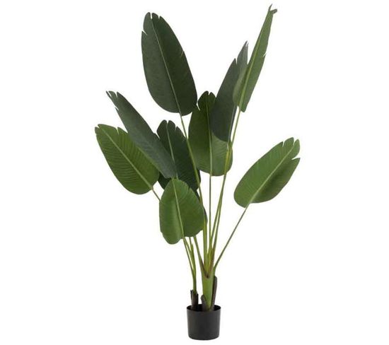 Plante Artificielle En Pot "strelitzia" 165cm Vert