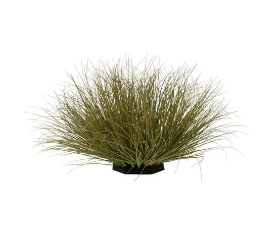Plante Artificielle Déco "herbe" 54cm Vert