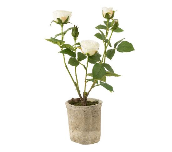 Plante Artificielle En Pot "rosier" 39cm Blanc