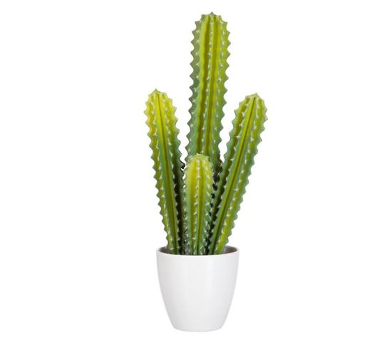 Plante Artificielle En Pot "cactus" 50cm Vert Et Blanc