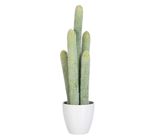 Plante Artificielle "cactus 5 Parties" 54cm Vert