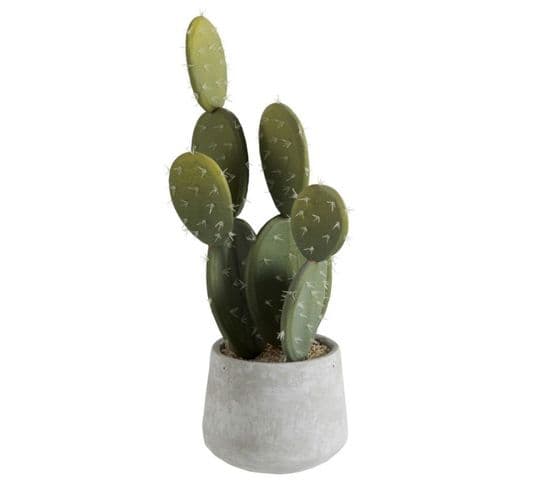 Plante Artificielle En Pot "cactus" 49cm Vert Et Gris