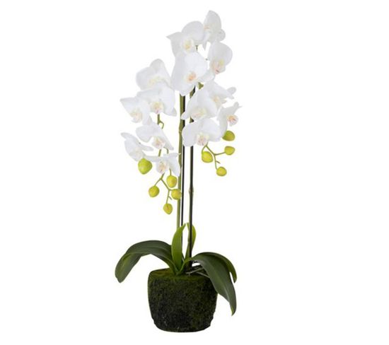 Fleur Artificielle En Pot "orchidée" 60cm Blanc
