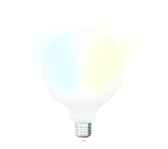 Ampoule LED Globe G125 E27 iDual Opale