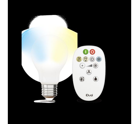 Kit ampoule LED standard E27 iDual Opale