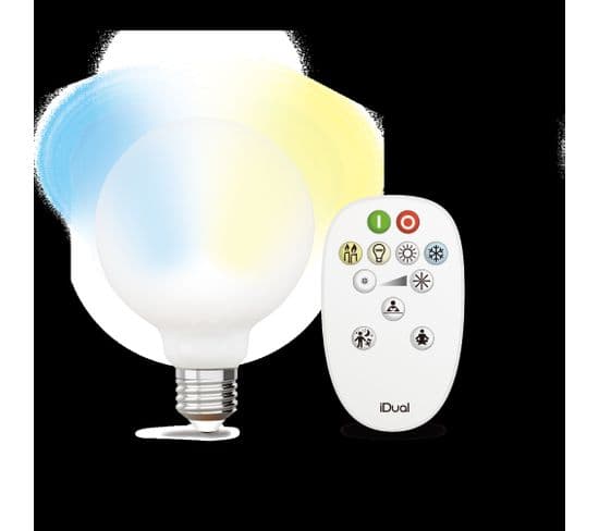 Kit ampoule LED globe G95 E27 iDual Opale