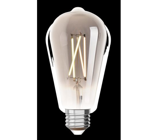 Ampoule LED Edison ST64 E27 iDual Silver