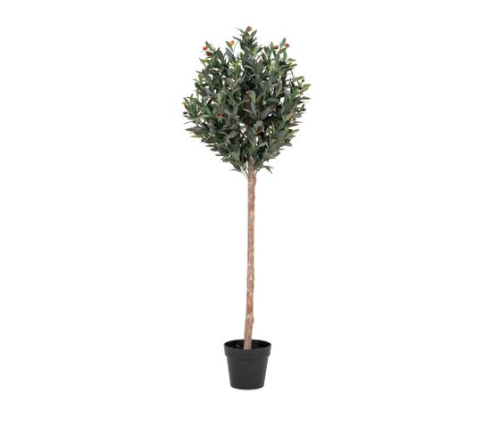 Olive Tree - Olivier Artificiel H150cm - Couleur - Vert