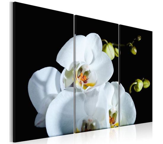Tableau Imprimé "orchidée Blanche Comme Neige" 60 X 90 Cm