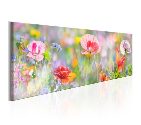 Tableau Imprimé "rainbow Of Morning Poppies" 45 X 135 Cm