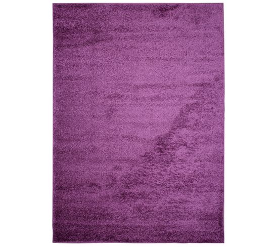 Tapis Séjour Violet Unicolore Moelleux Epais 200x290