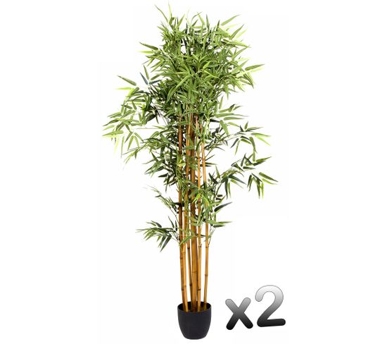 Lot de 2 plantes artificielles Bambou Pot, Hauteur 180 cm