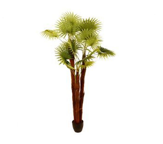 Palmier artificiel en Polyester, H 180 cm