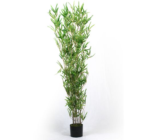 Plante Artificielle Bambou - Hauteur 180 Cm