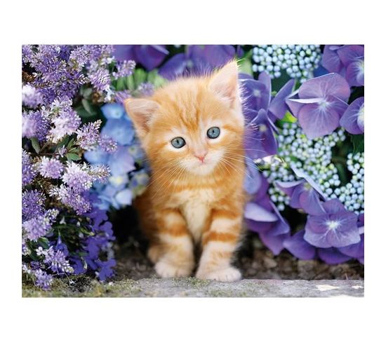 30415 - 500 Pieces - Ginger Cat In Flowers