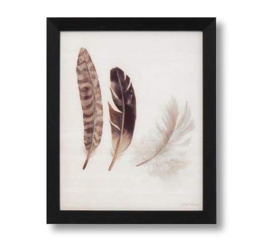 Faced Feathers - Tableau Décoratif 30 X 25 Cadre Noir