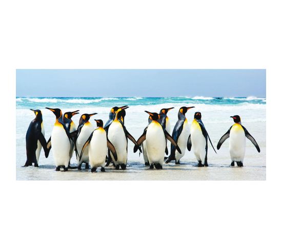 Penguins, Photo Murale, 202 X 90 Cm, 1 Part