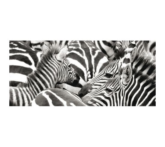 Zebras, Photo Murale, 202 X 90 Cm, 1 Part