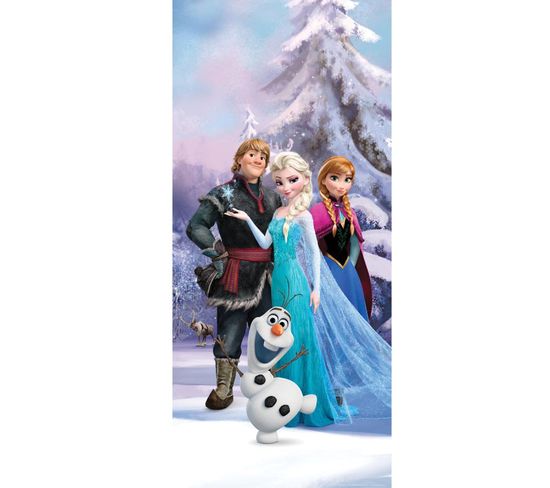 Poster Porte La Reine Des Neiges Disney Frozen Intisse 90x202 Cm
