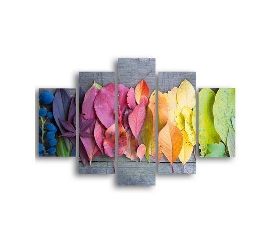 Tableau - Feuilles Colorées - Nature - Multicouleur En Mdf, 95 X 0,3 X 60 Cm