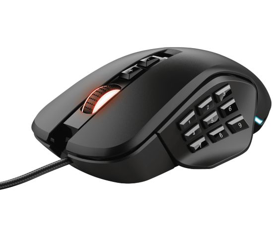 Souris gaming Gxt970