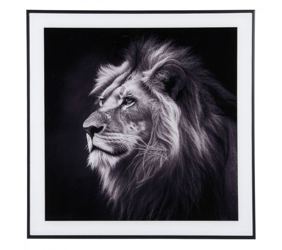 Cadre Et Photo D'art Noir Et Blanc Lion Noir