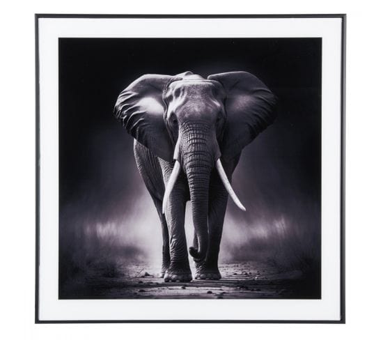 Cadre Et Photo D'art Noir Et Blanc Eléphant Noir