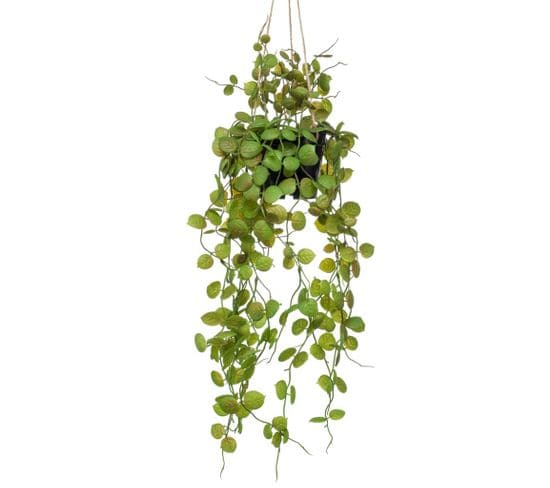 Plante artificielle suspendue Ceropegia 50 cm en pot