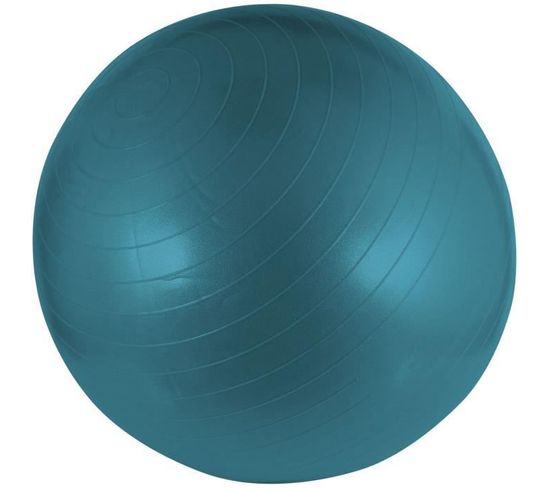 Swiss Ball S 55 Cm Bleu