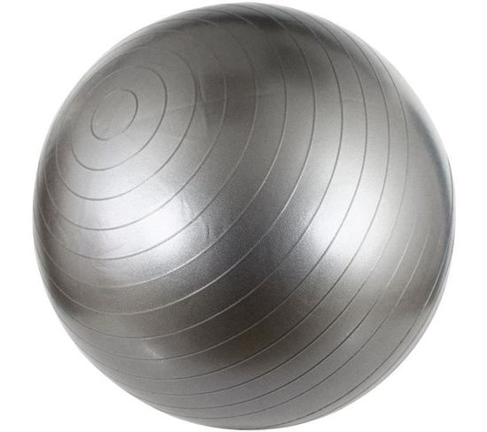 Swiss Ball M 65 Cm Gris