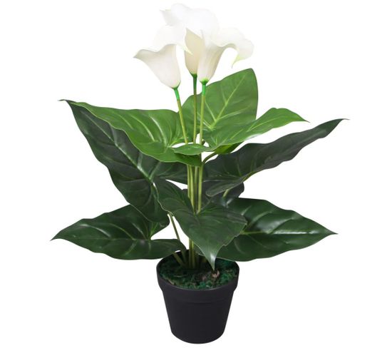 Plante Artificielle Avec Pot Lis Calla 45 Cm Blanc