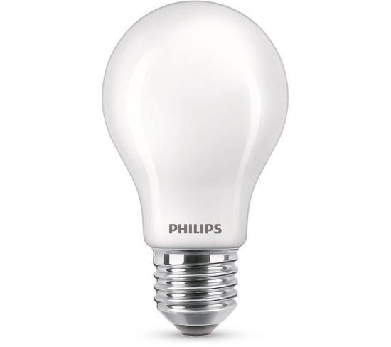 lot de 2 ampoules LED dépolies PHILIPS E27 EQ40W