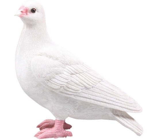 Pigeon Blanc En Résine 19 X 20 X 11 Cm