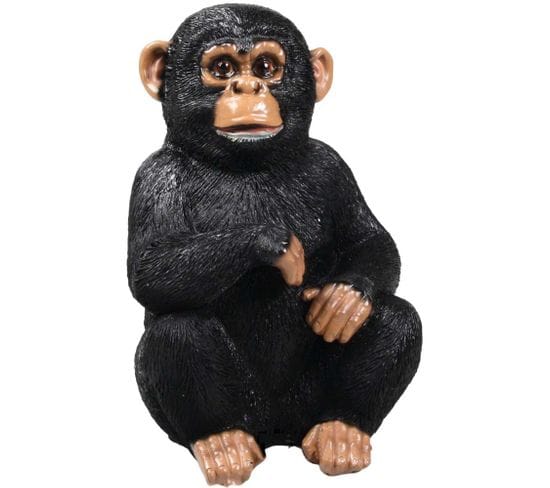 Chimpanzé Assis En Résine 18 X 15 X 24 Cm