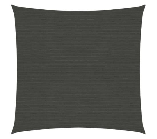 Voile D'ombrage 160 G/m² Anthracite 2,5x2,5 M Pehd