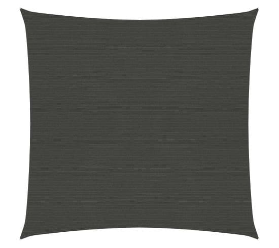 Voile D'ombrage 160 G/m² Anthracite 4x4 M Pehd