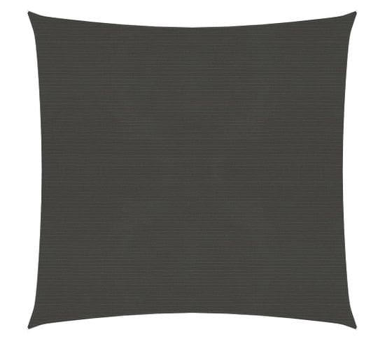 Voile D'ombrage 160 G/m² Anthracite 4,5x4,5 M Pehd