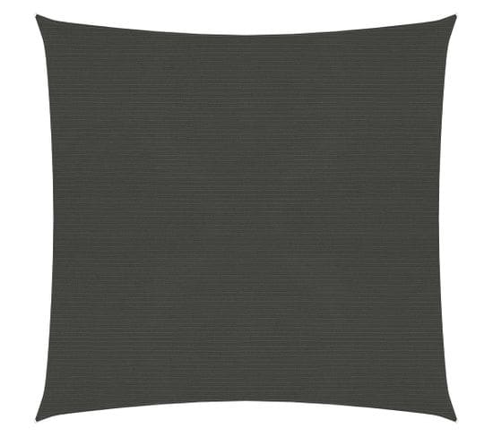 Voile D'ombrage 160 G/m² Anthracite 6x6 M Pehd